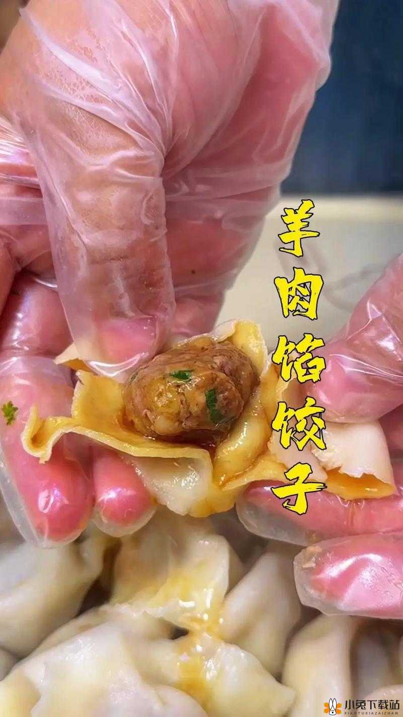 授课方式 BY 肉馅小水饺视频：教你做美味水饺