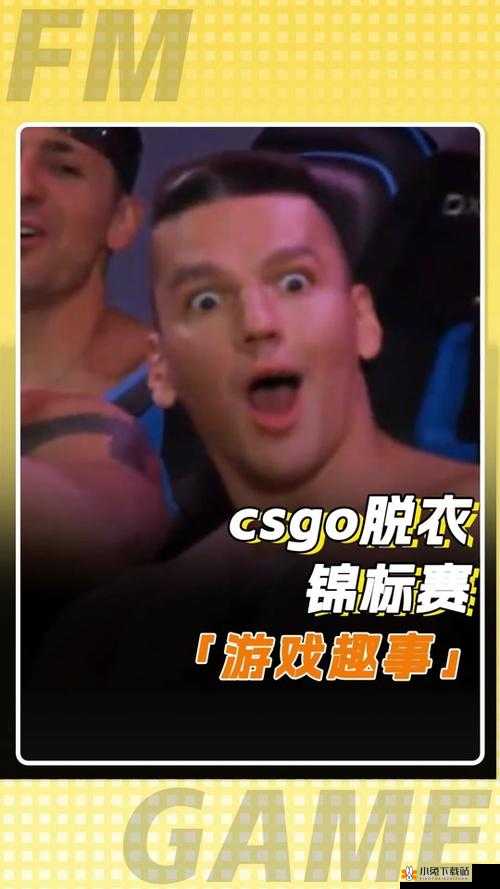 俄罗斯卖 CSGO 的网站：优质游戏平台