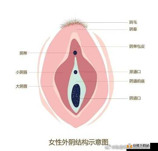 女性私密紧致视频：让你更自信