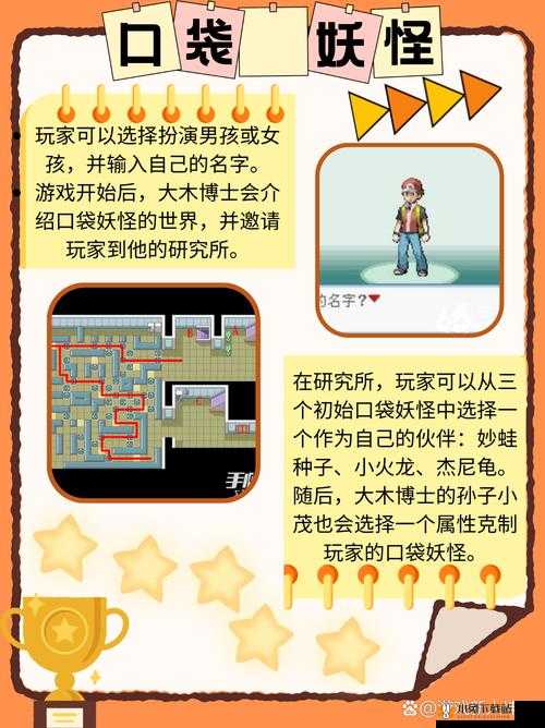 《口袋妖怪3DS：宠物培养价值评估指南》