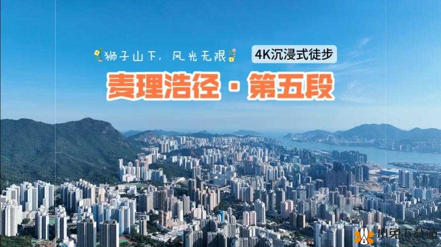 都市色网：探寻都市多彩世界