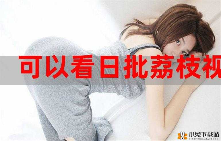 荔枝视频在线观看免费播放无广告畅享