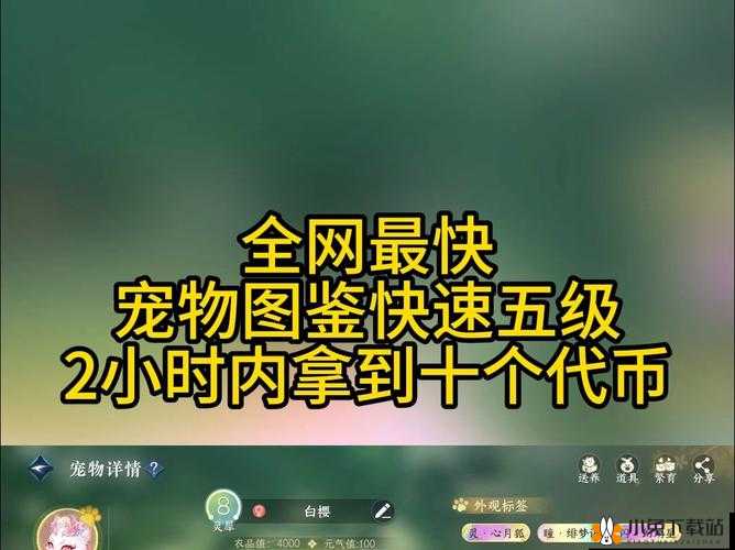 全民飞机大战蟹球球宠物：独特技能与属性全解析图鉴指南